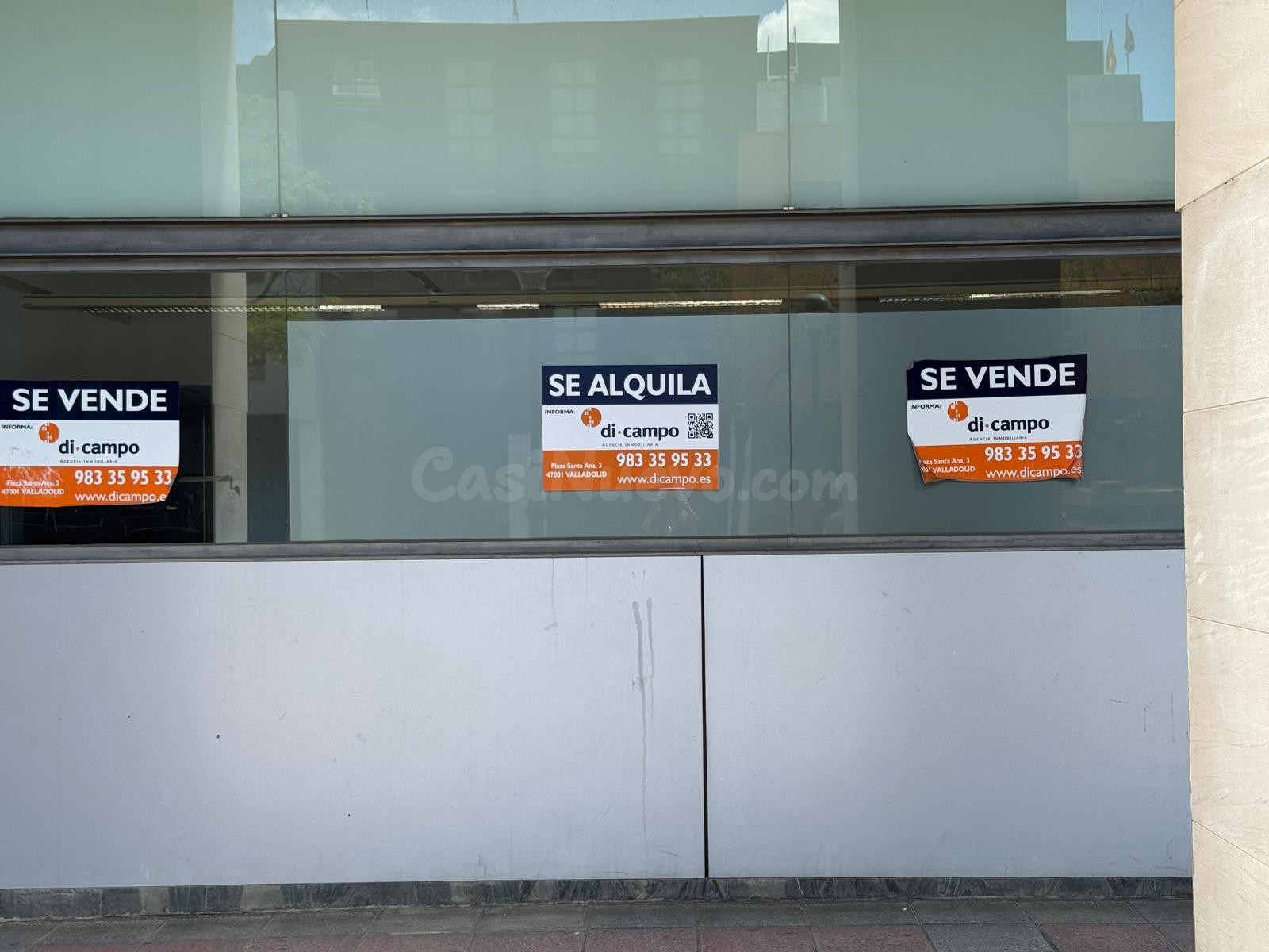 Local comercial 880m² en alquiler - Paseo Zorrilla - foto 4