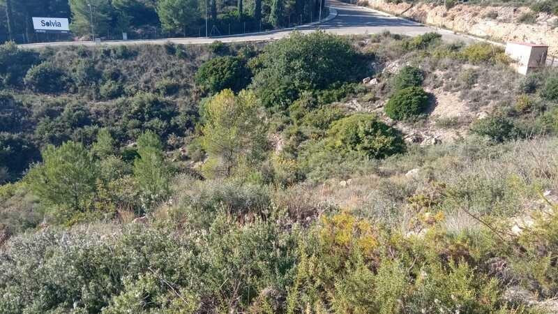 Terreno urbanizable 740m² en venta - Alcora (l ) - foto 4