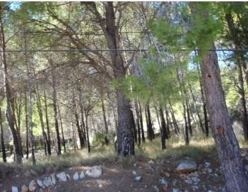 Terreno urbano en venta - Montornes - Las Palmas - El Refugi - foto 4