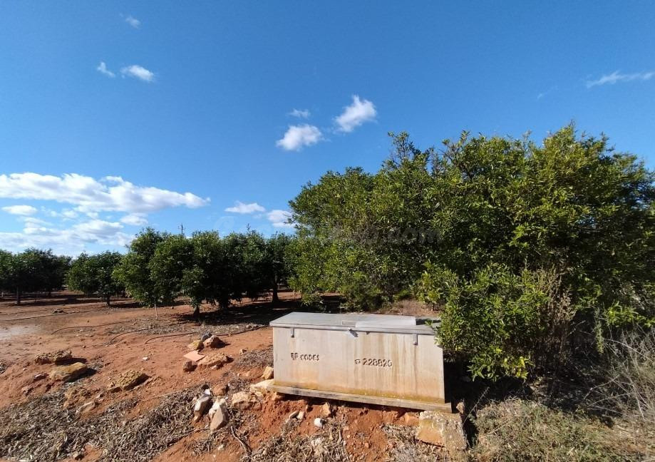 Terreno rural en venta - Plz. del circo - foto 3