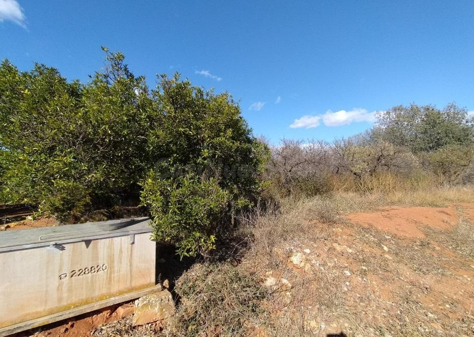 Terreno rural en venta - Plz. del circo - foto 4