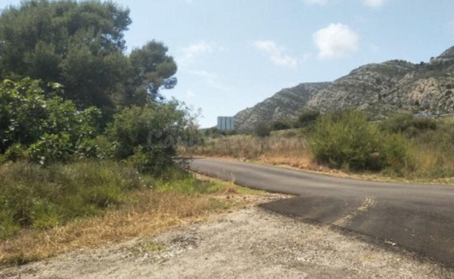 Terreno rural en venta - Oeste - foto 3