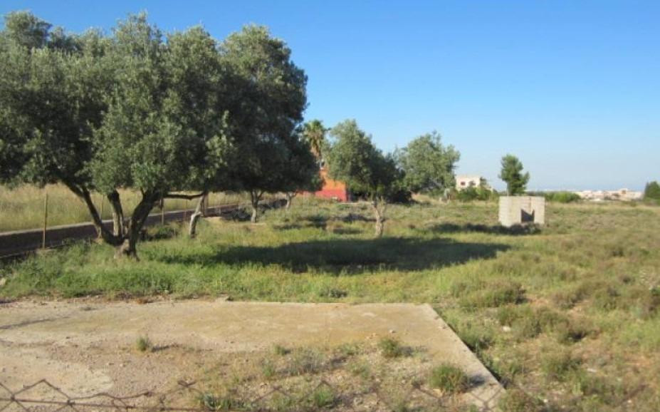 Terreno rural en venta - Oeste - foto 4