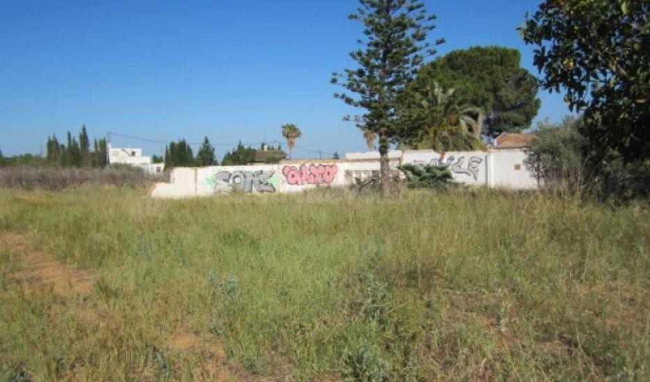 Terreno rural en venta - Oeste - foto 5
