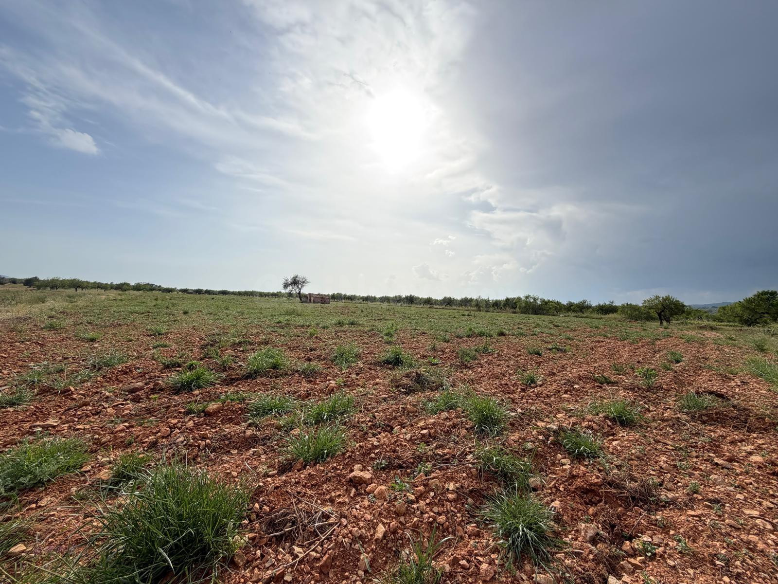 Terreno rural en venta - Comunidad valenciana