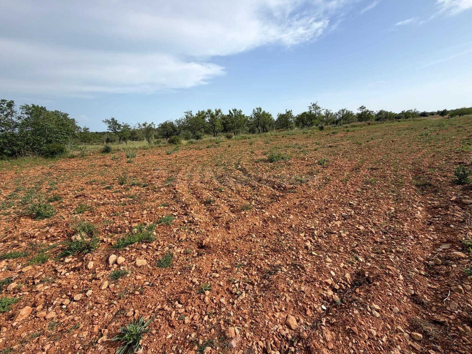 Terreno rural en venta - Comunidad valenciana - foto 2