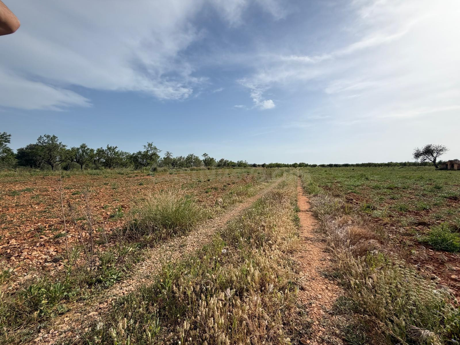 Terreno rural en venta - Comunidad valenciana - foto 3