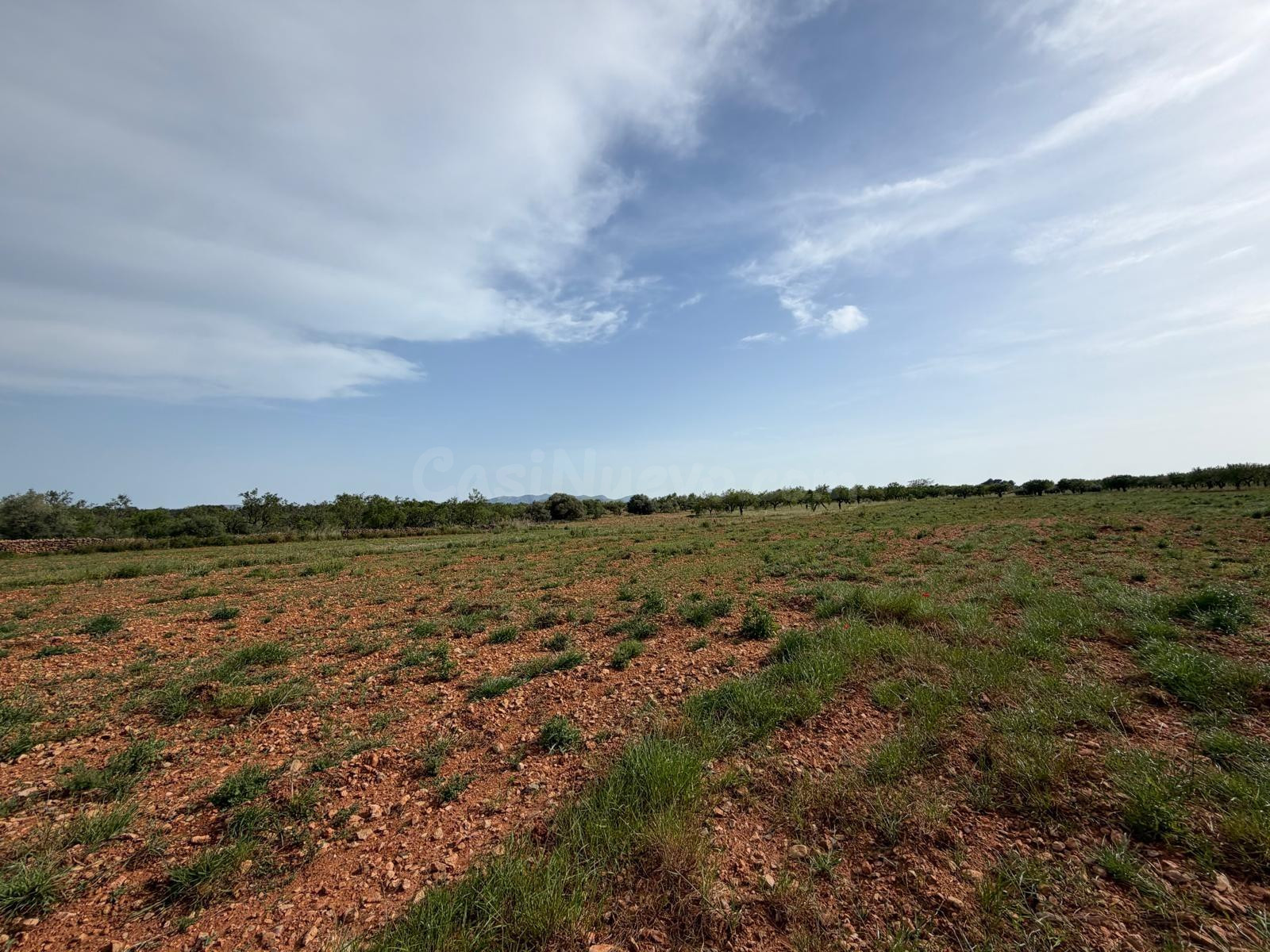 Terreno rural en venta - Comunidad valenciana - foto 4