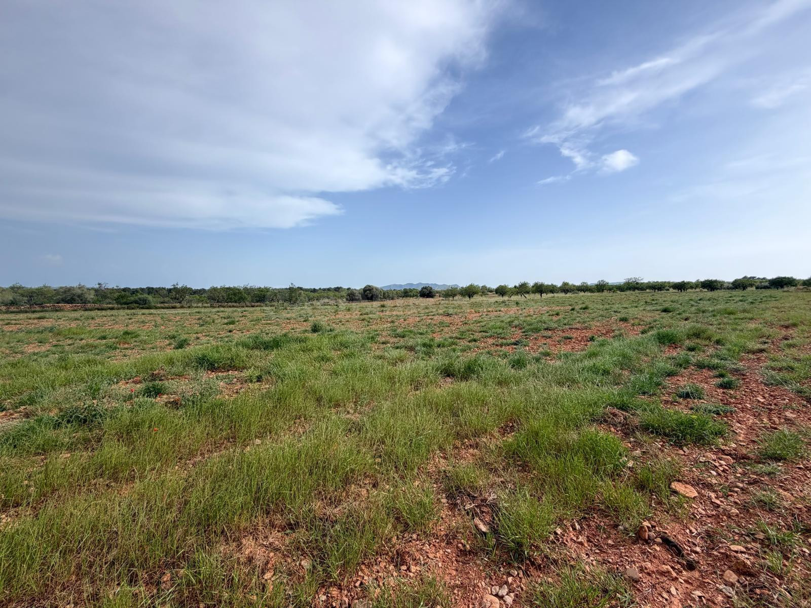 Terreno rural en venta - Comunidad valenciana - foto 5