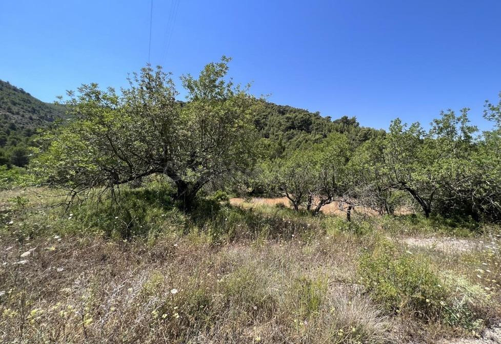 Terreno rural en venta - Urbanizacion vall d umbri