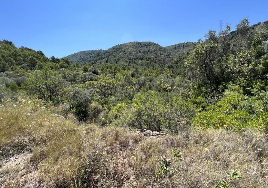 Terreno rural en venta - Urbanizacion vall d umbri - foto 3