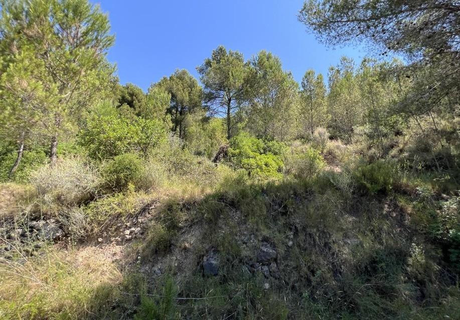 Terreno rural en venta - Urbanizacion vall d umbri - foto 4