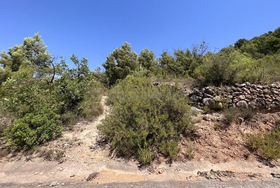 Terreno rural en venta - Urbanizacion vall d umbri - foto 5