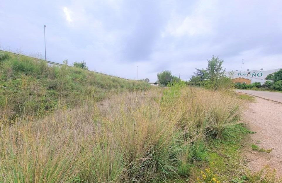 Terreno industrial 2248m² en venta - Costa del azahar - foto 5