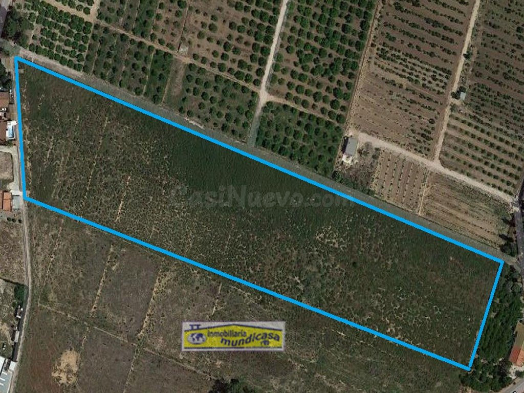 Se vende Finca Rústica en Santomera zona Matanzas con 32023m de superficie