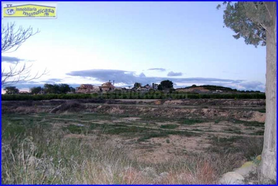 Oportunidad Única: Finca Rústica en Matanzas de Santomera