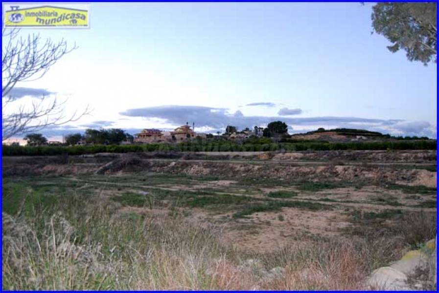 Oportunidad Única: Finca Rústica en Matanzas de Santomera - foto 2