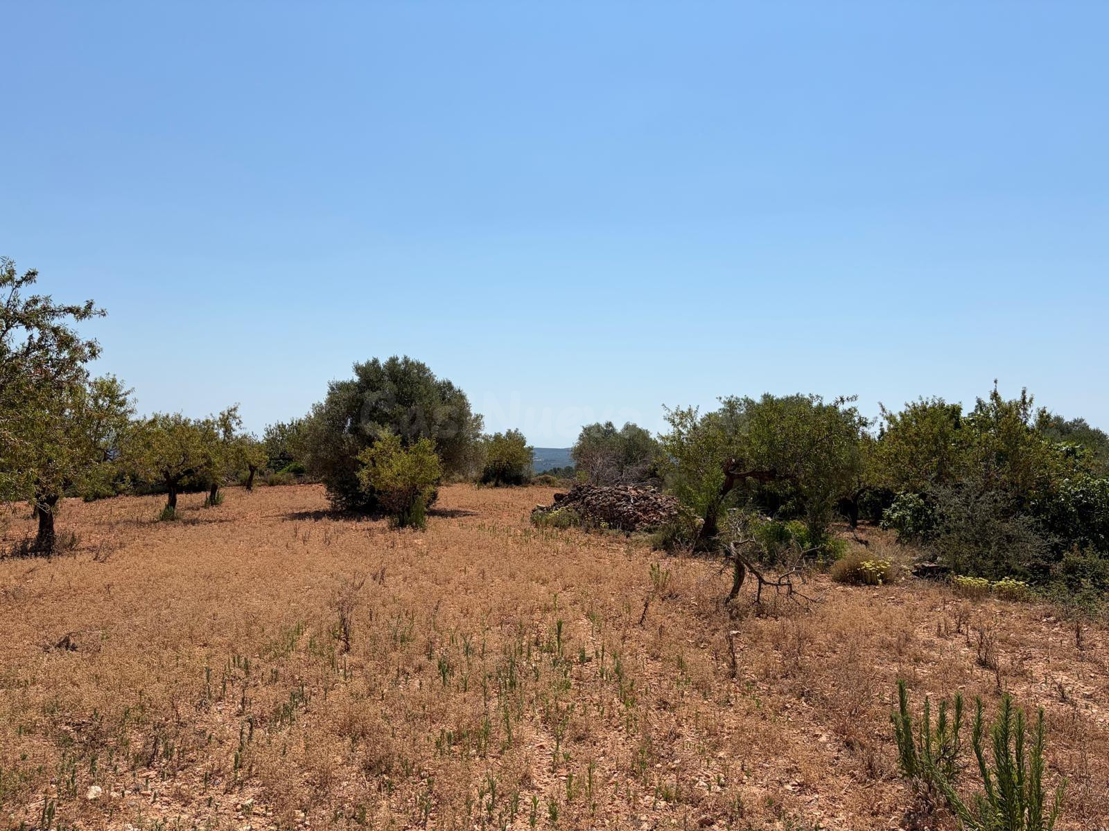 Terreno rural en venta - Comunidad valenciana - foto 2