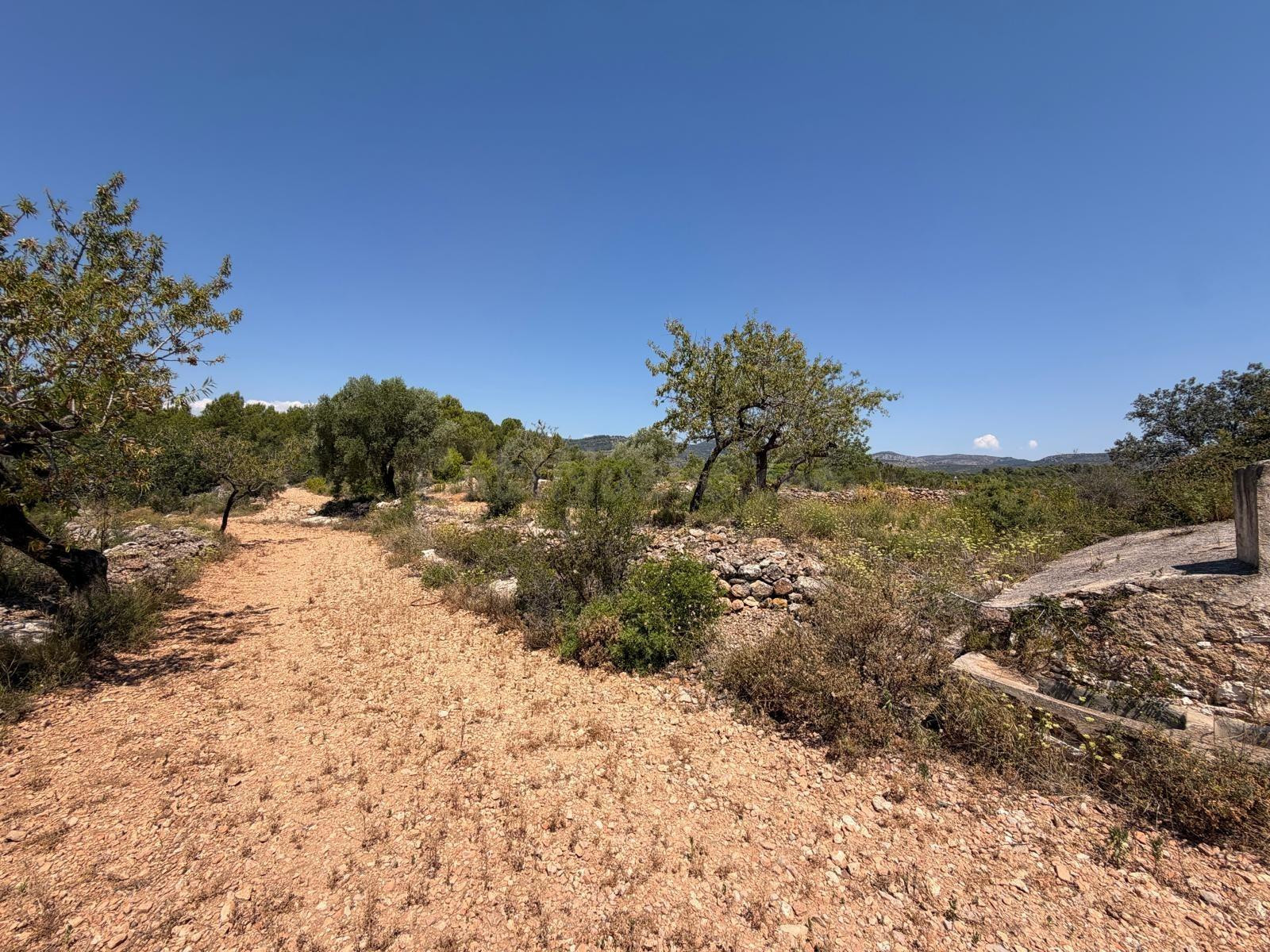 Terreno rural en venta - Comunidad valenciana - foto 4