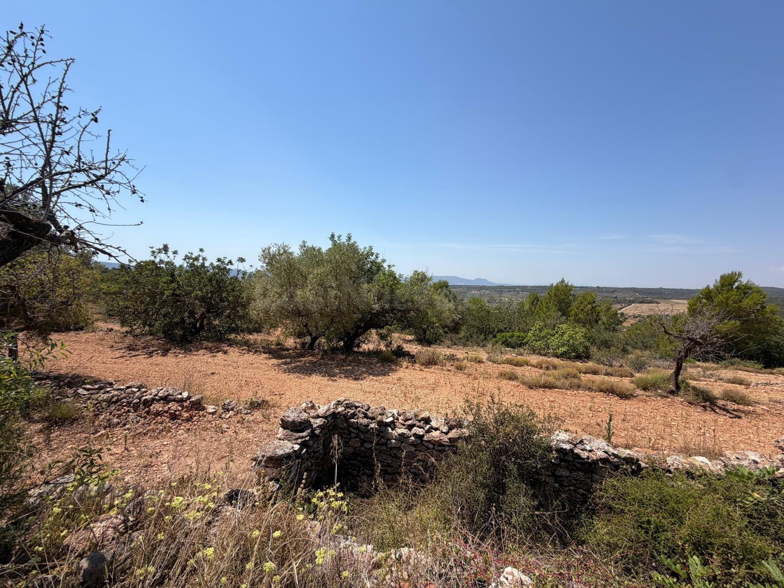 Terreno rural en venta - Comunidad valenciana - foto 5