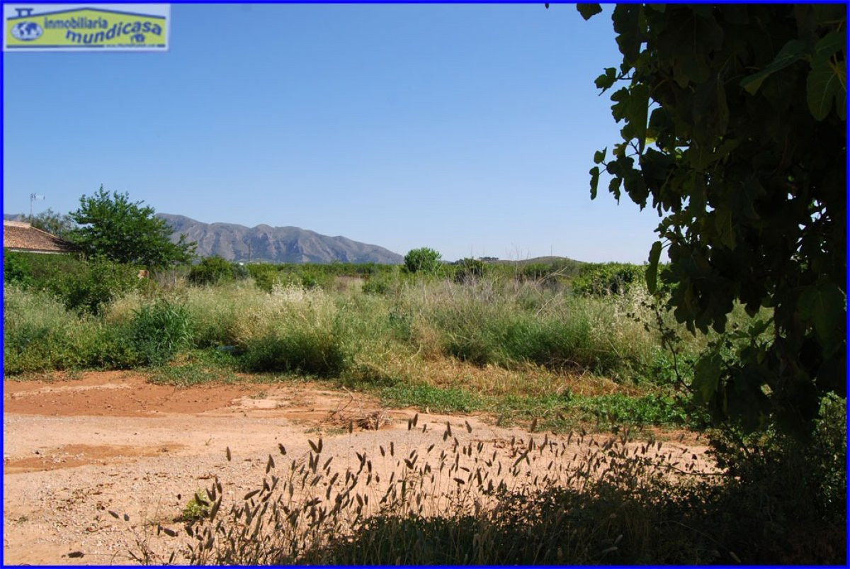 ¡Haz realidad tus sueños de campo con esta parcela rústica e - foto 3