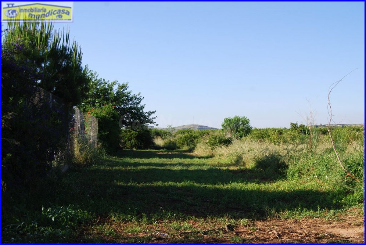 ¡Haz realidad tus sueños de campo con esta parcela rústica e - foto 5