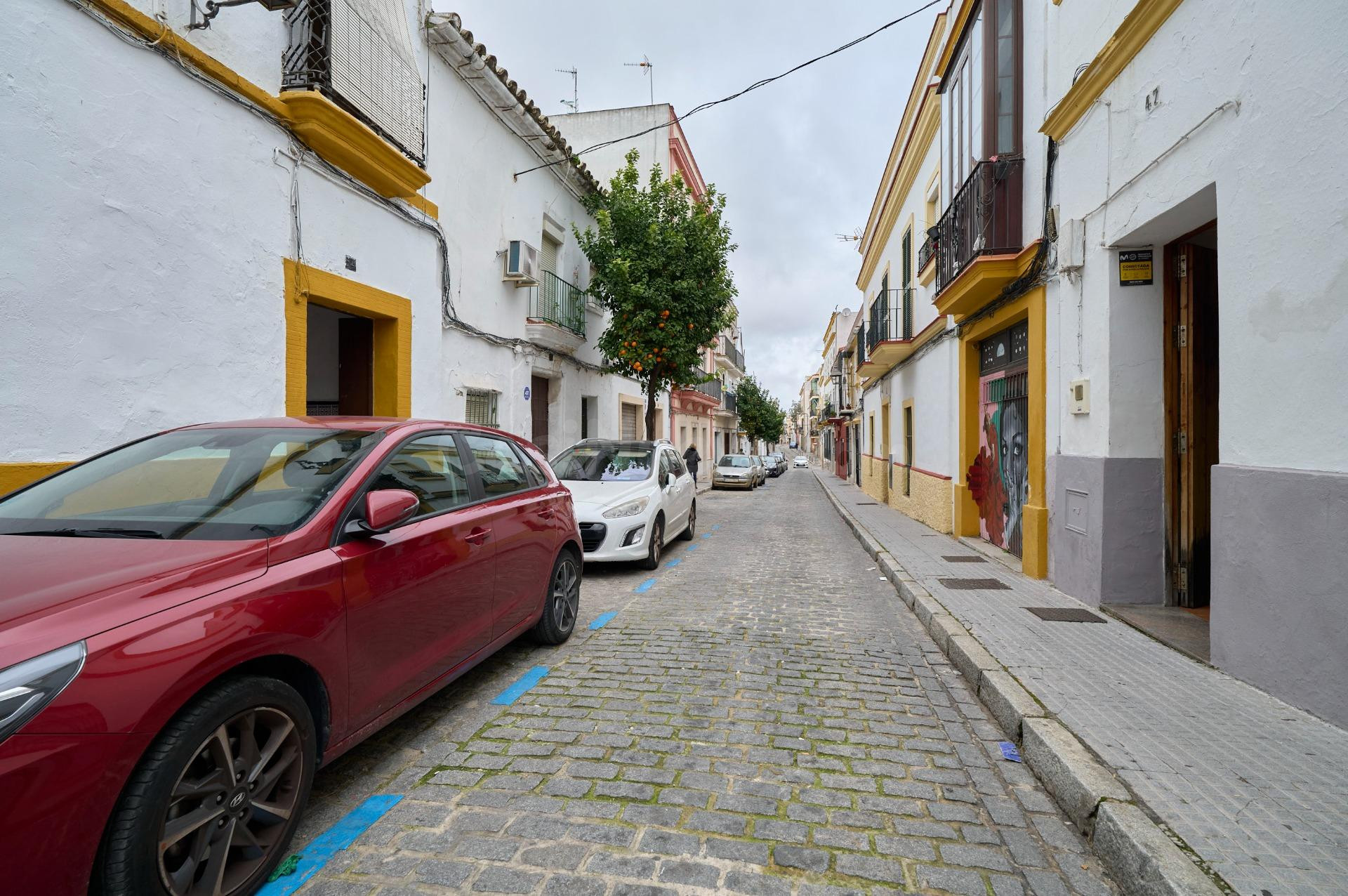 Casa centro Jerez Barrio San Miguel - foto 5