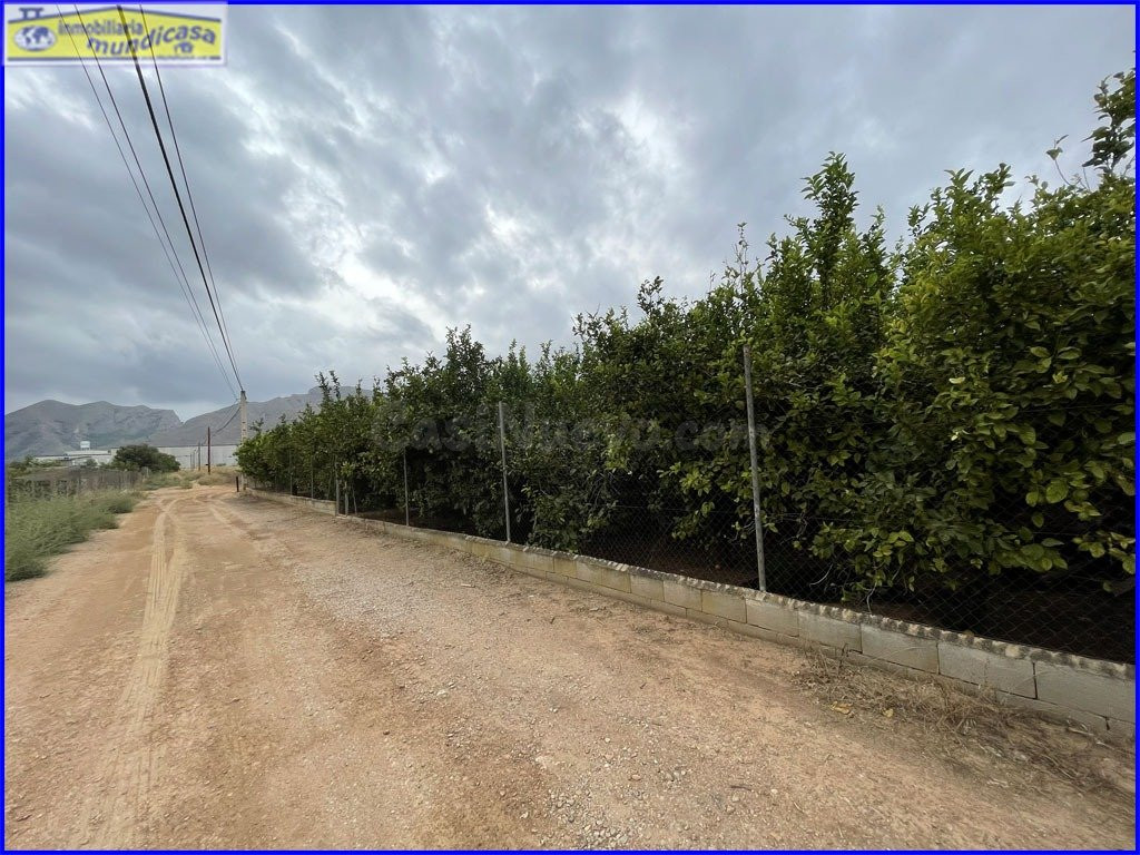 Parcela en venta - Matanzas - foto 2