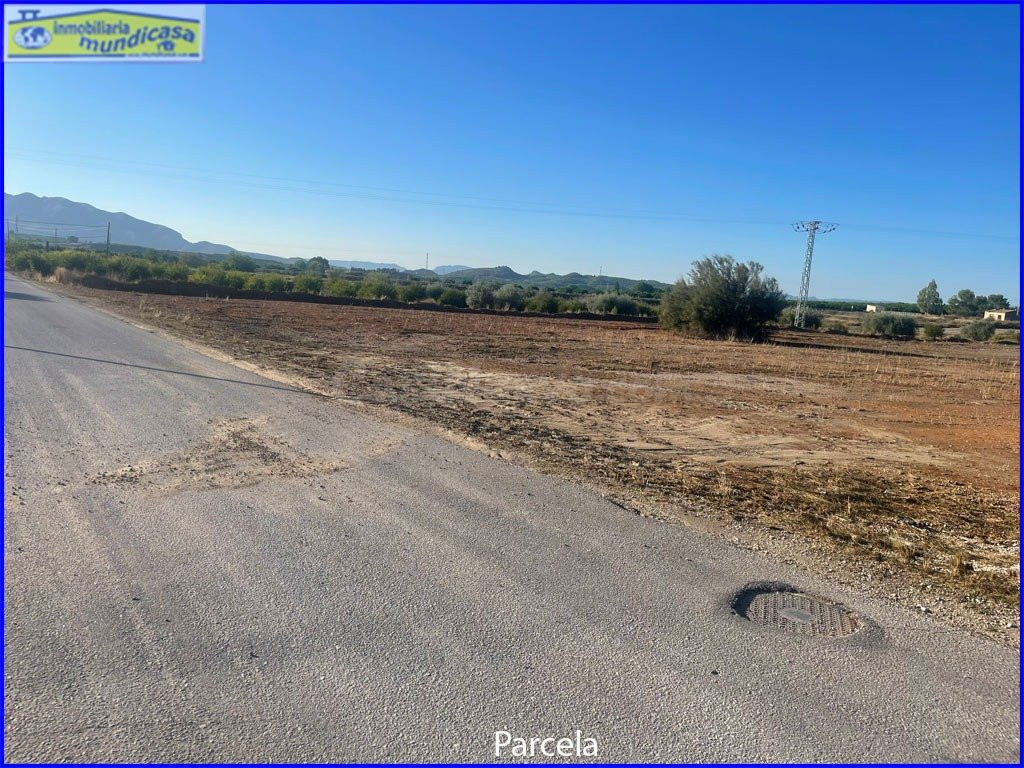 Parcela rústica en La Matanza de Fortuna - foto 3