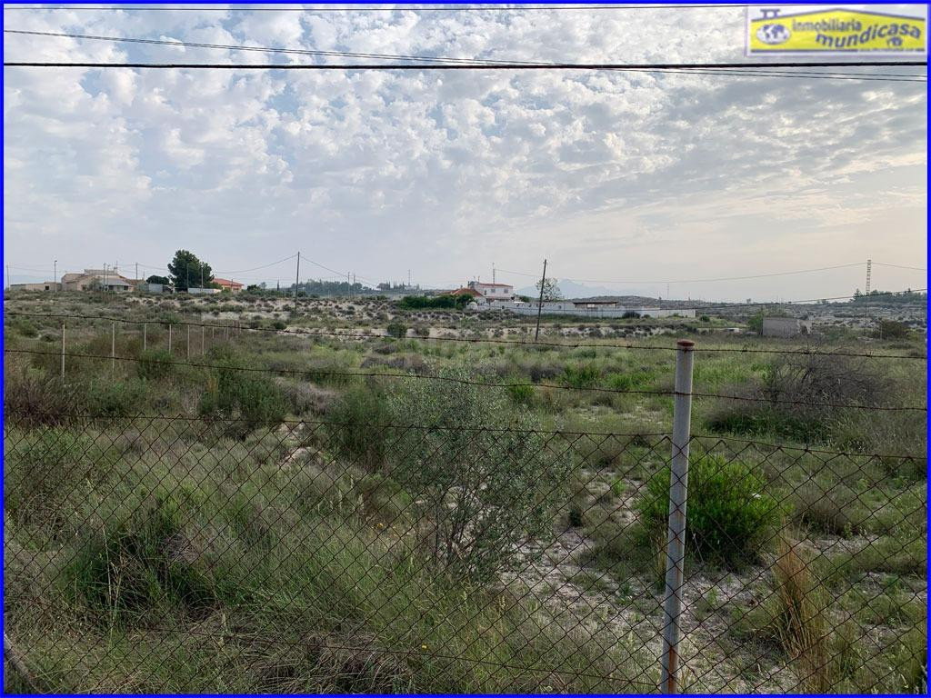 Gran oportunidad de inversión en La Matanza de Fortuna - foto 3