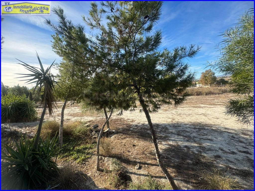 Terreno no urbano en Fortuna zona Las Delicias - foto 2
