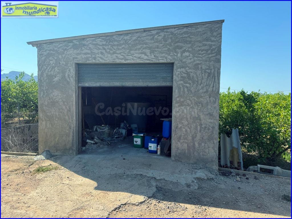 Finca Rústica en Venta: Productiva Plantación de Limón Fino 