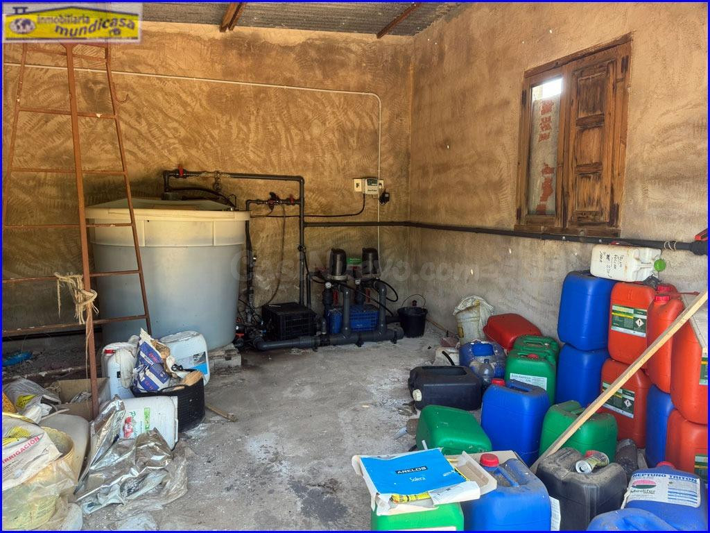 Finca Rústica en Venta: Productiva Plantación de Limón Fino  - foto 2
