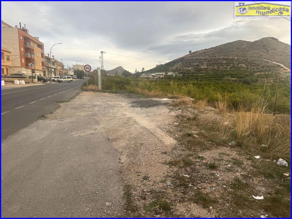 Oportunidad de Inversión en El Esparragal: Parcela con Gran  - foto 2