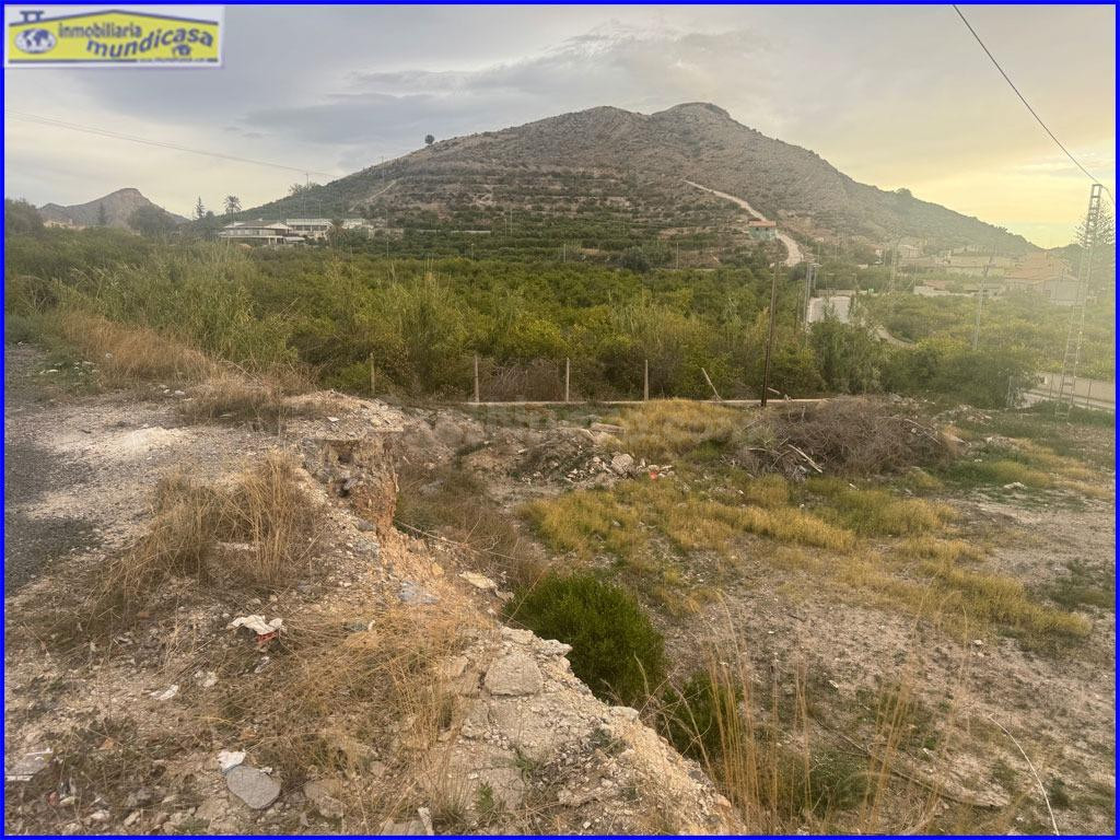 Oportunidad de Inversión en El Esparragal: Parcela con Gran  - foto 4
