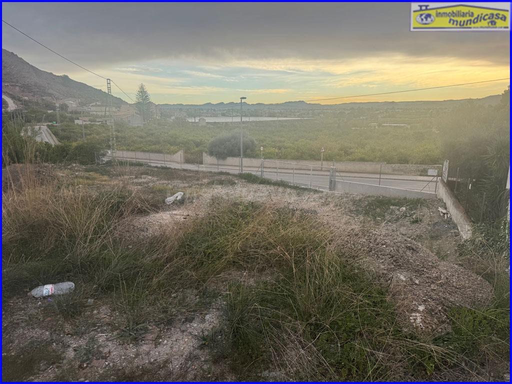 Oportunidad de Inversión en El Esparragal: Parcela con Gran  - foto 5
