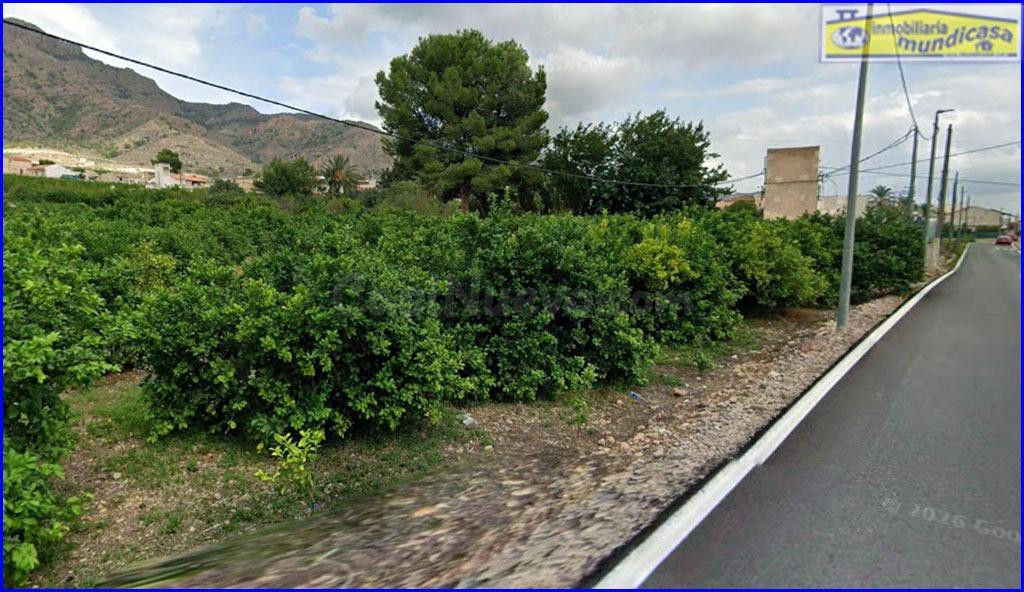 Finca Rústica en El Siscar, Santomera - Oportunidad Única - foto 2