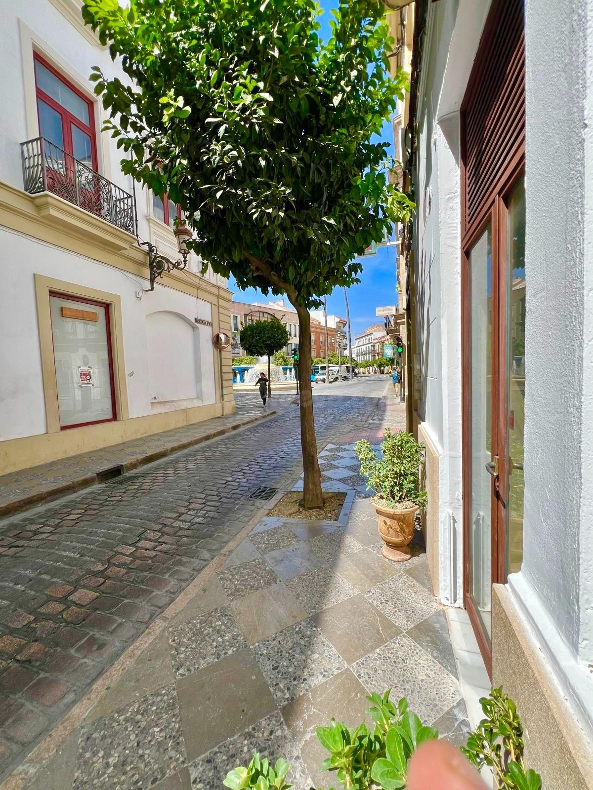 ALQUILER LOCAL CALLE HONDA