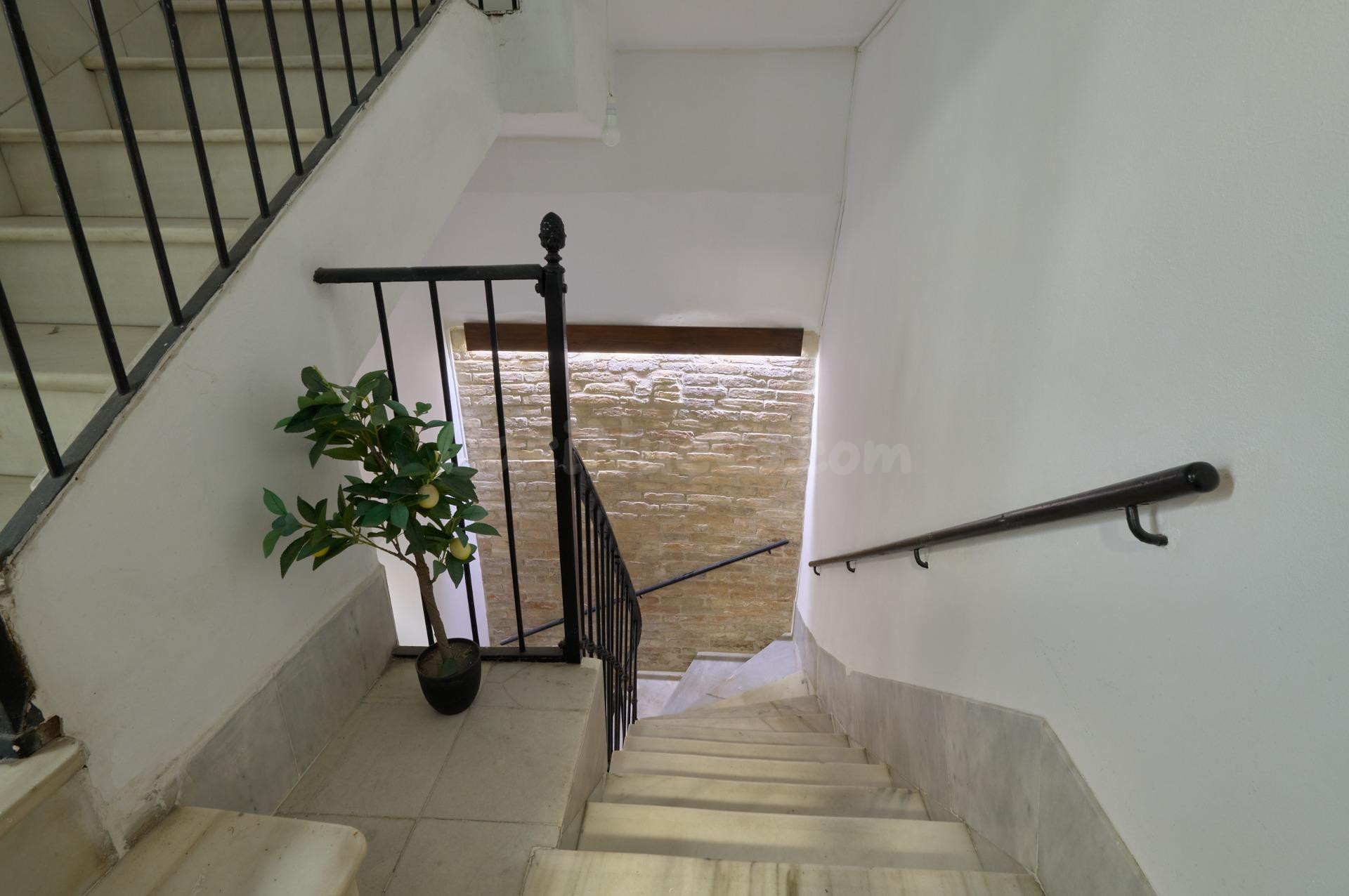 JOYA en C/ Francos, Jerez centro! Reforma PREMIUM 2025, licencia turística 4 plazas transferible. 4 miradores + balcón a Plateros. ¡Rentabiliza desde el 1er día! - foto 3
