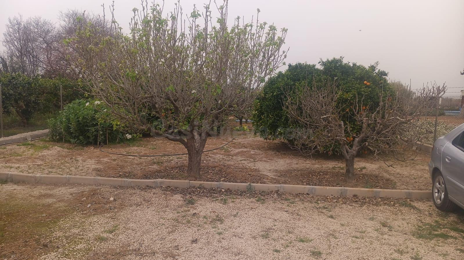 SE VENDE TERRENO RURAL EN LA RIBERA DE MOLINA