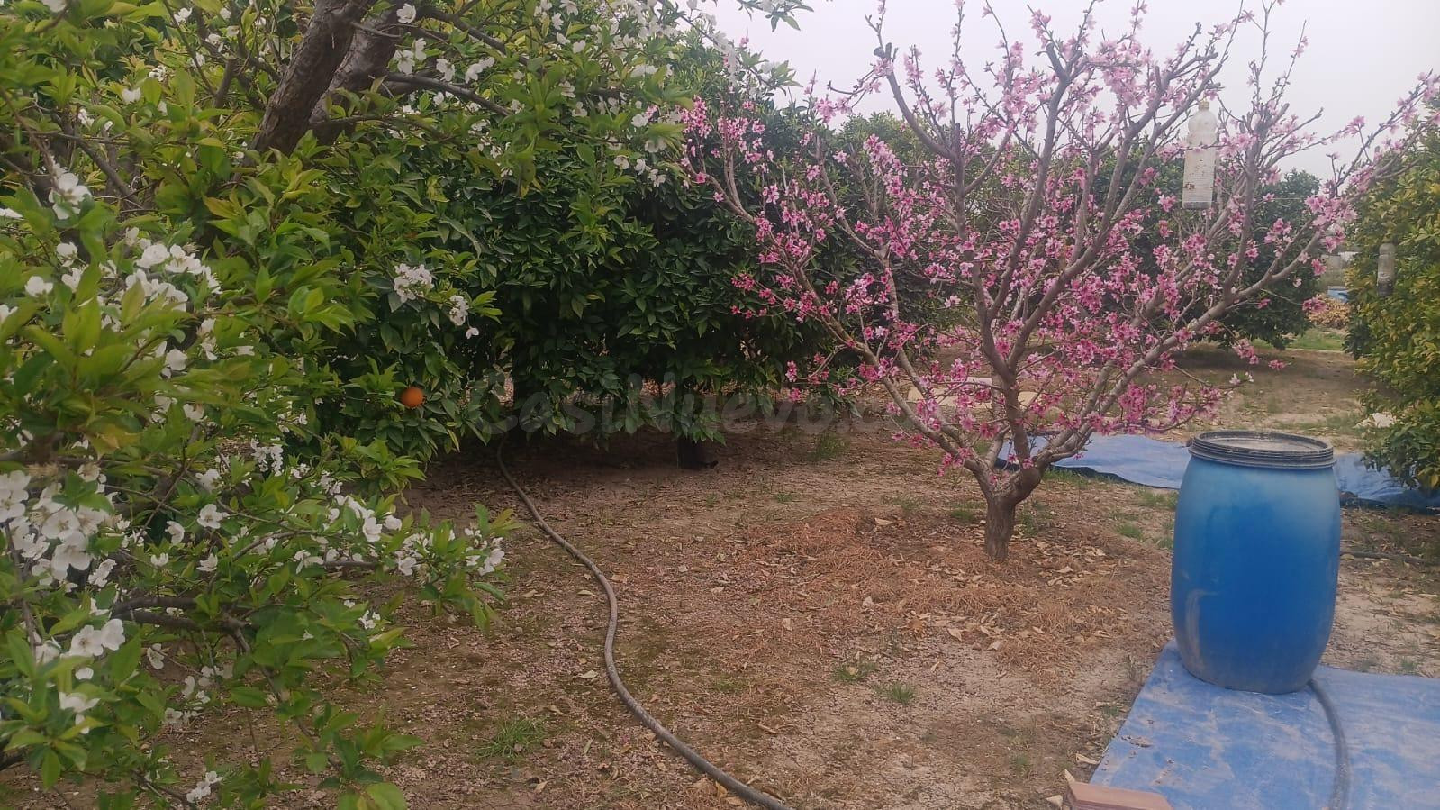 SE VENDE TERRENO RURAL EN LA RIBERA DE MOLINA - foto 2