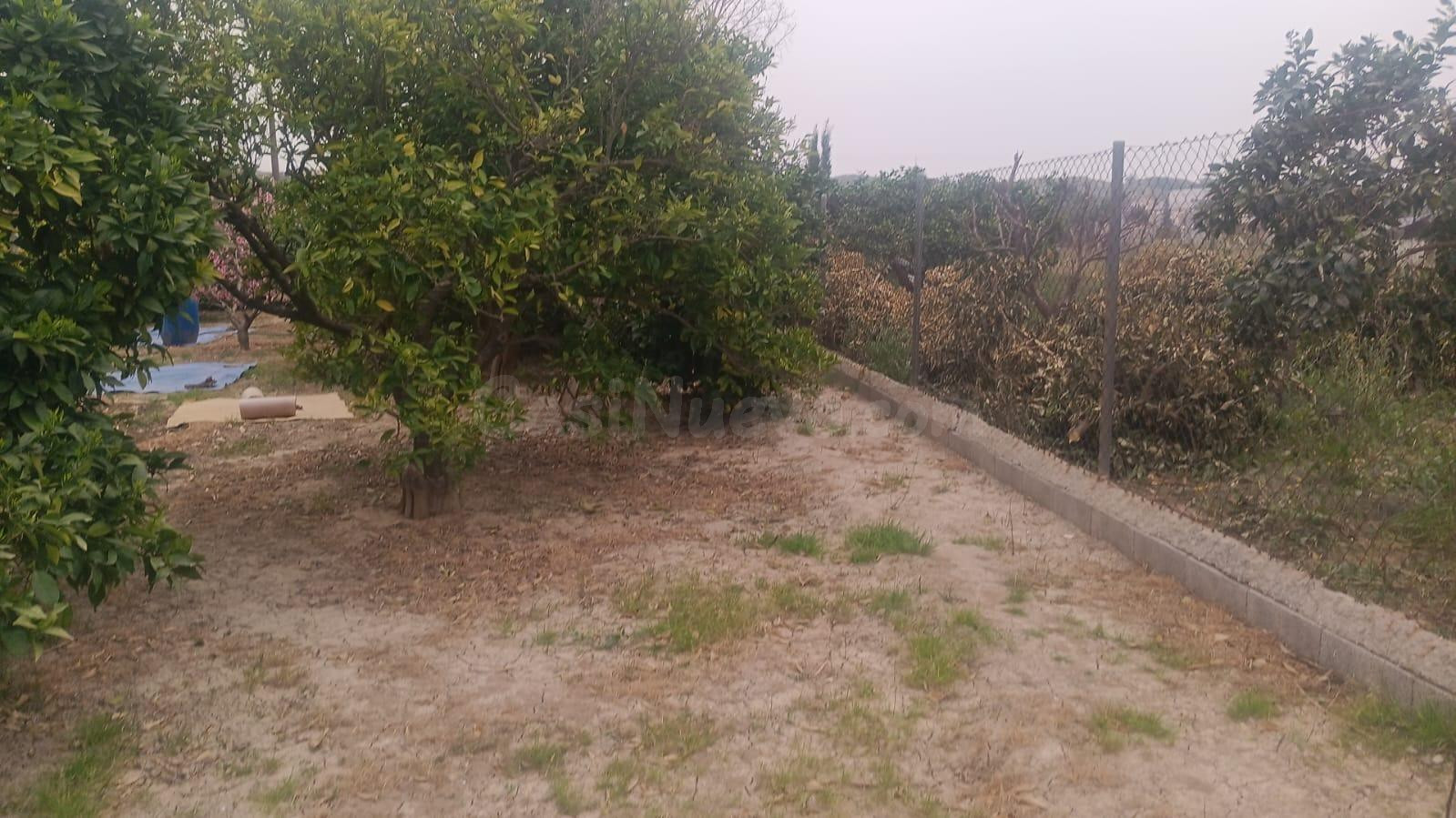 SE VENDE TERRENO RURAL EN LA RIBERA DE MOLINA - foto 5