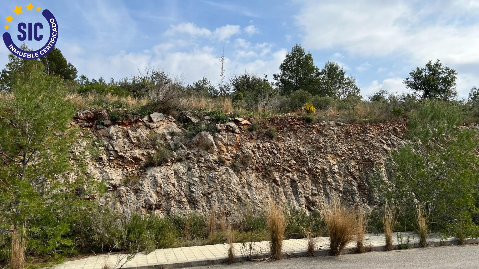 EXCELENTE PARCELA URBANA CON VISTAS DESPEJADAS Y BASTANTE PLANA - foto 3