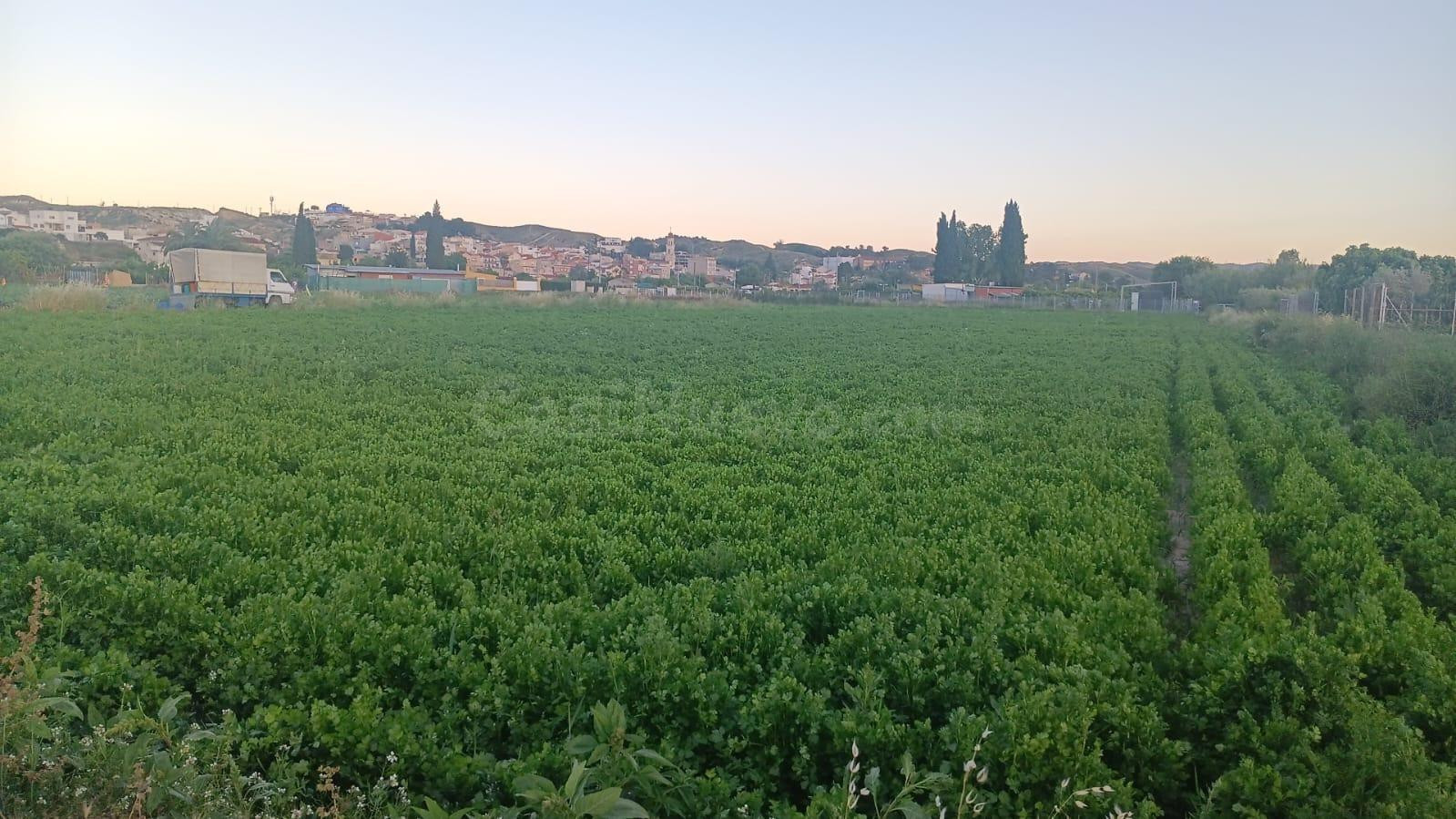 SE VENDE TERRENO CON CASA EN RUINAS