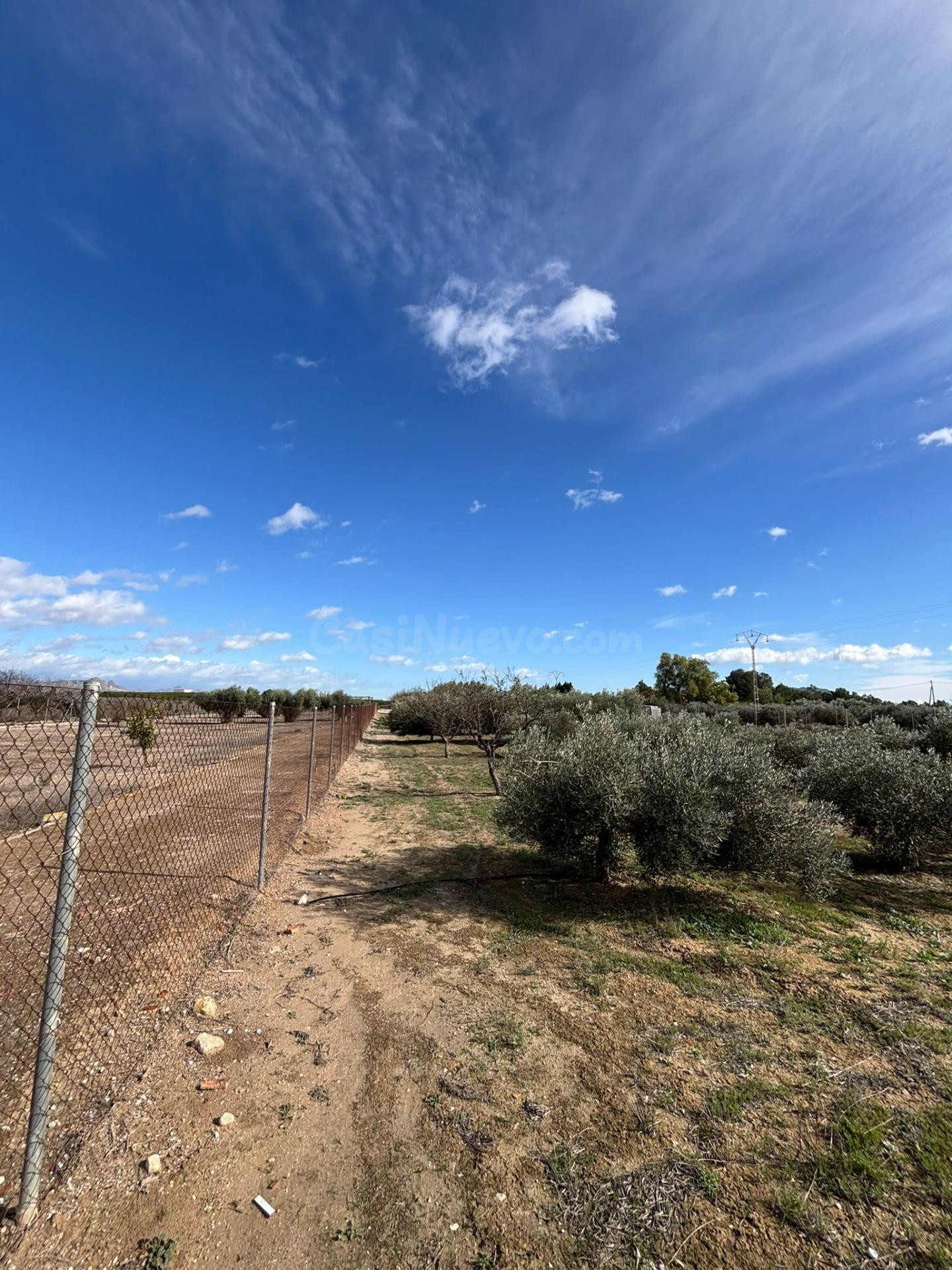 SE VENDE TERRENO CON UNA CABAÑA DE MADERA EN FORTUNA - foto 2