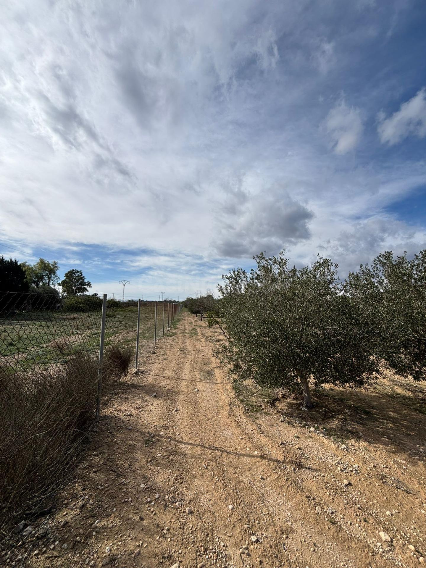 SE VENDE TERRENO CON UNA CABAÑA DE MADERA EN FORTUNA - foto 3