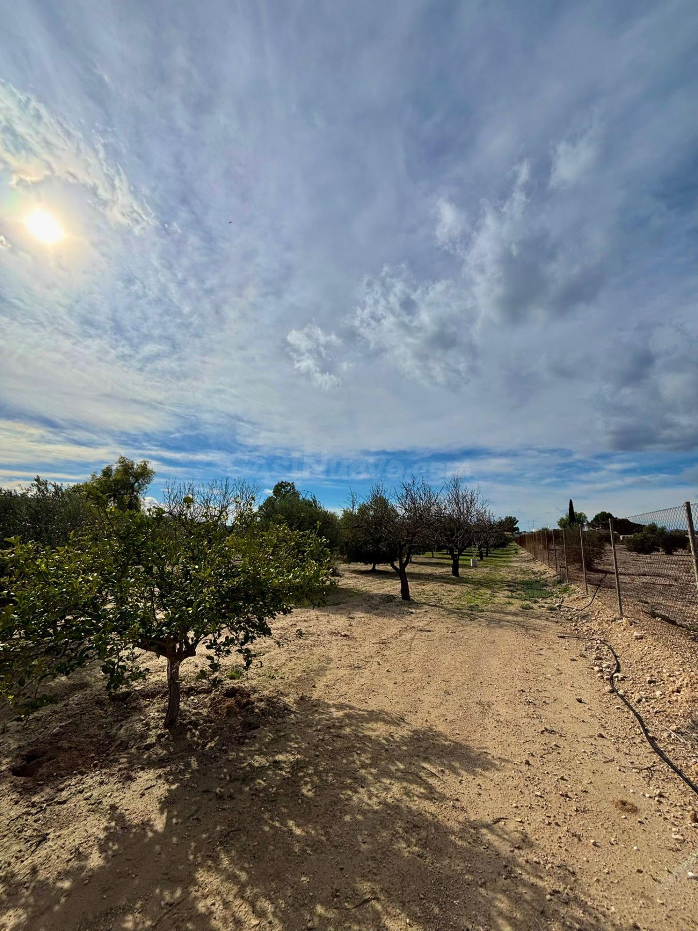 SE VENDE TERRENO CON UNA CABAÑA DE MADERA EN FORTUNA - foto 4
