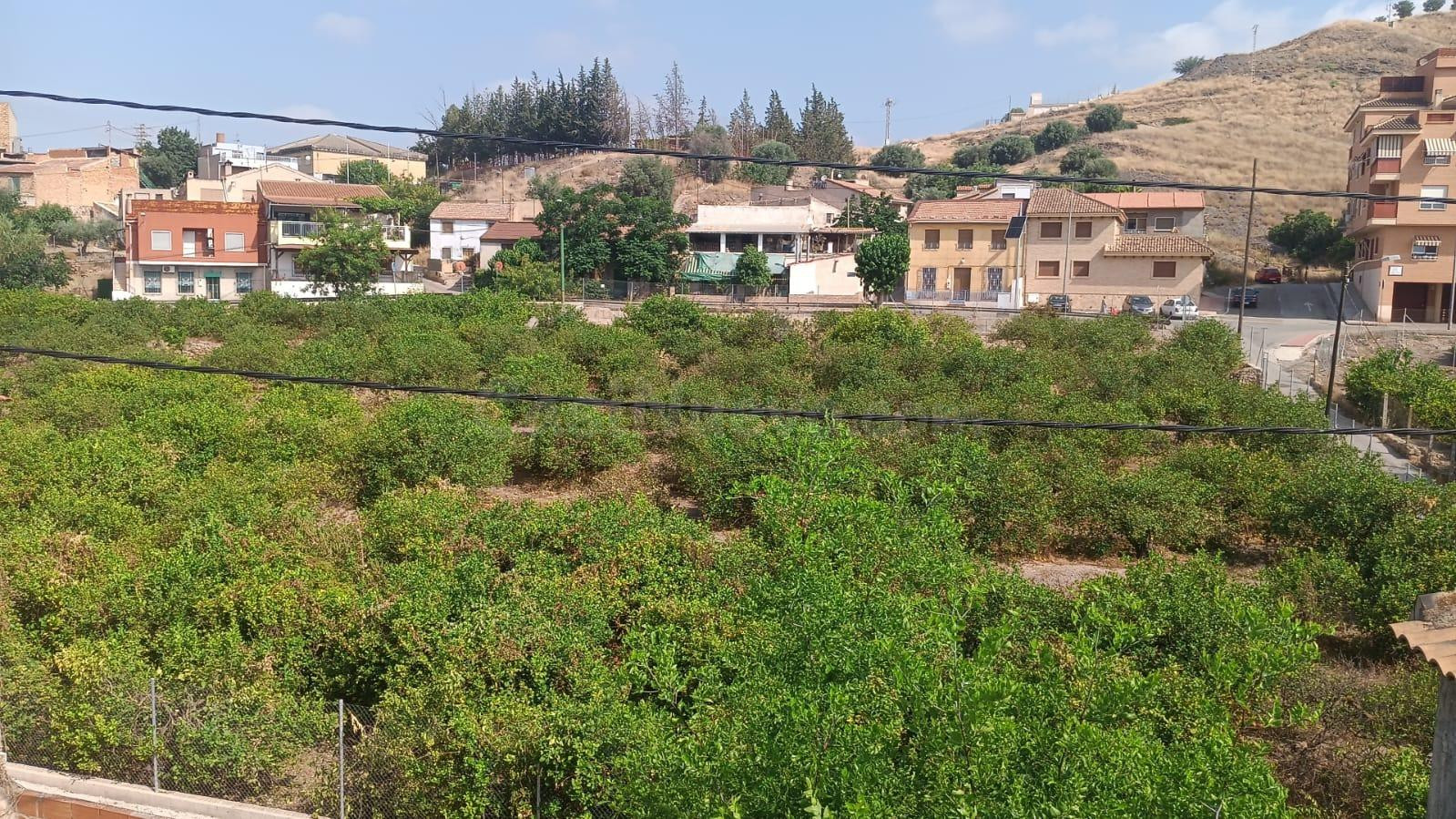 SE VENDE CASA EN MONTEAGUDO