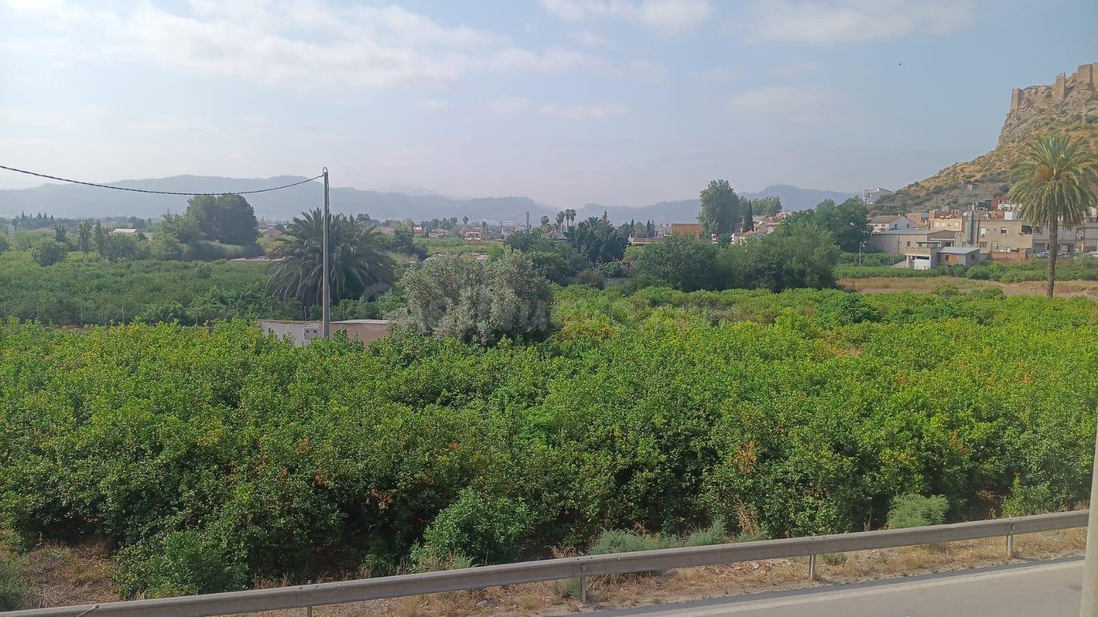 SE VENDE CASA EN MONTEAGUDO - foto 3