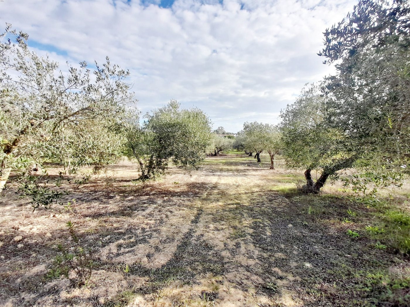 Terreno rural en venta - pedanias - foto 2